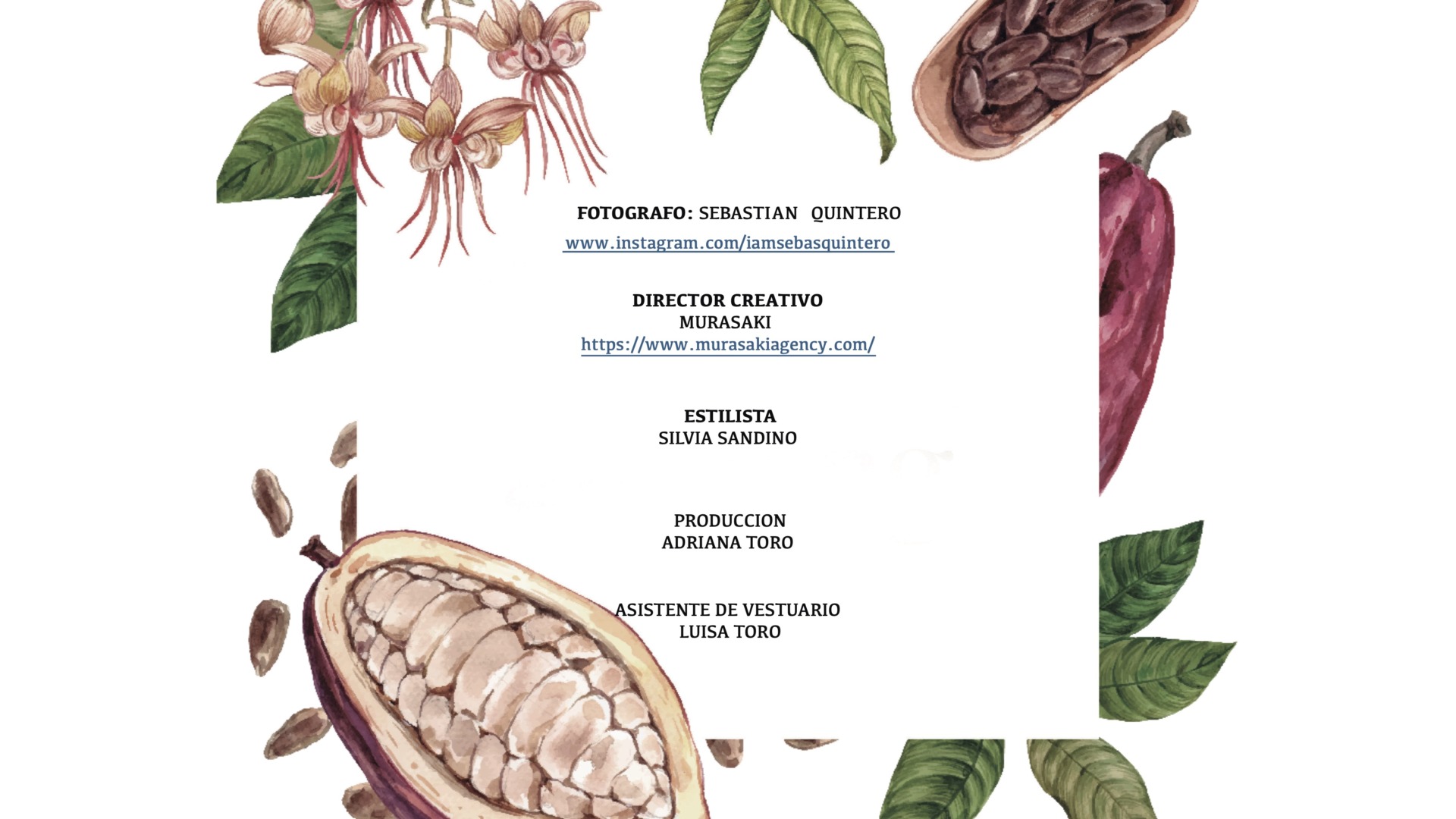 Paraiso Caribe Campaña Mussi - Murasaki Agency